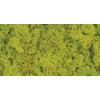 REINDEER MOSS 2.5 OZ  Spring Green  (HEADER)-